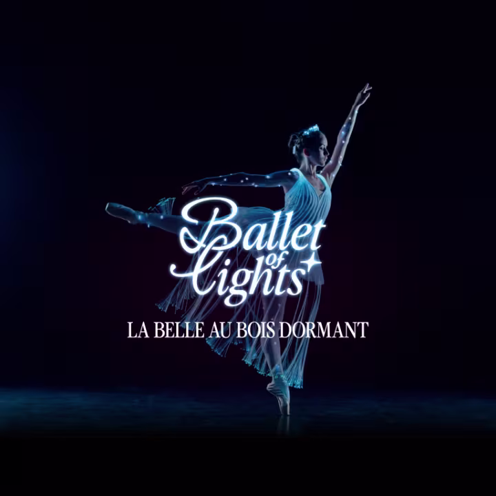 Ballet of Lights : La Belle au bois dormant en lumière à Liège